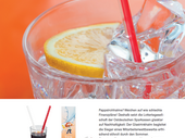 Praxisbeispiel Glastrinkhalme